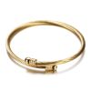 3 Colors lockable Braclets Bangles For Women Hot Selling Brand Jewelry 316L Stainless Steel Bracelet and Bangle Adjustable